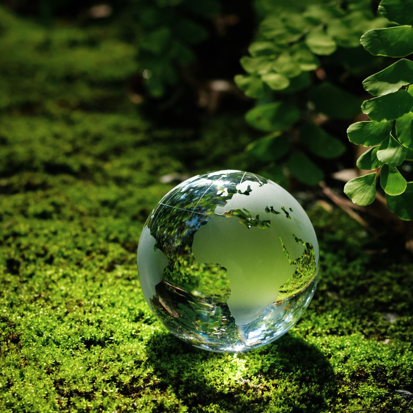 Découvrir hôtels Ibis Styles & Budget Nantes Rezé